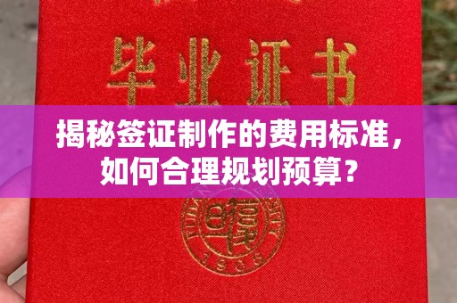 沙鹿揭秘签证制作的费用标准，如何合理规划预算？