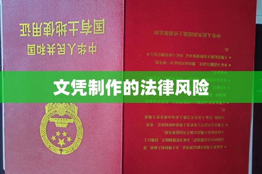 镇沅文凭制作的法律风险