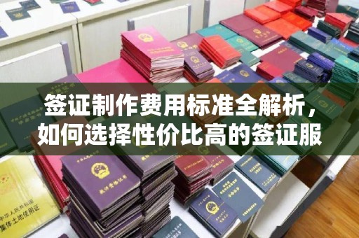 灵石签证制作费用标准全解析，如何选择性价比高的签证服务？